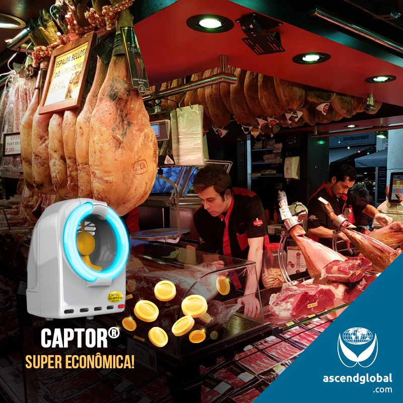 CAPTOR®, a Italianinha nas Redes Sociais em Junho e Julho-CAPTOR® é uma armadilha profissional por sucção ideal para empresas de alimentação, pois reúne eficácia, comodidade e economia.