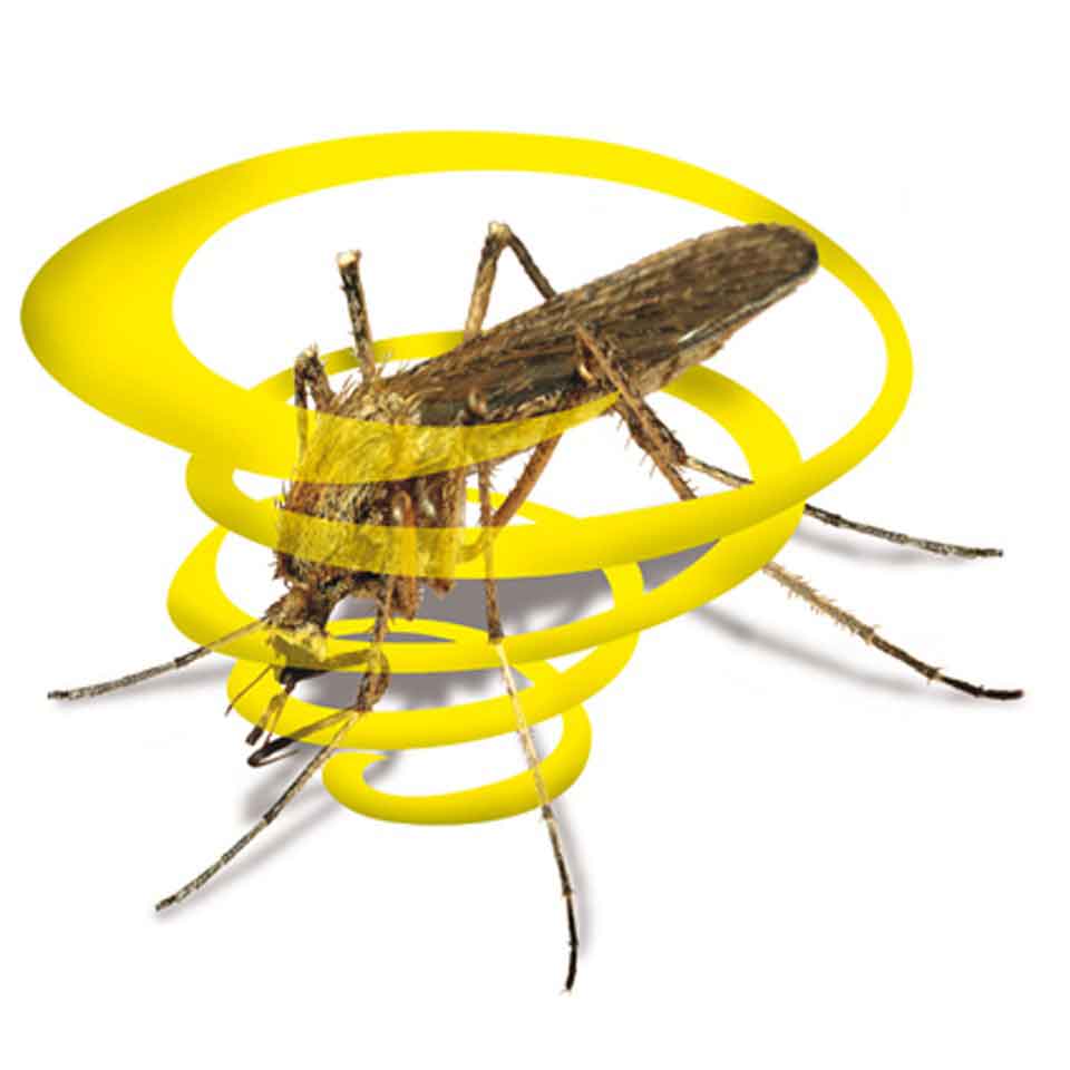 Insect Light Traps - CAPTOR 15W (110 Volts) - Mosquitos Capturados